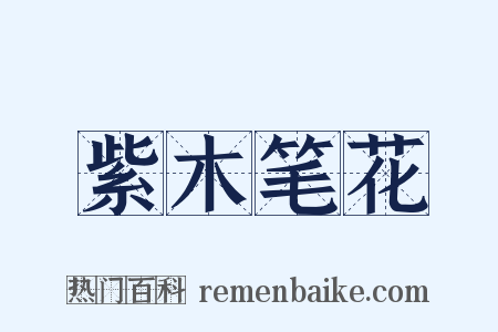 紫木笔花是什么意思的图片